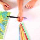 Magic Trace kezdőszett - állatkert