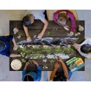 WOW Puzzle junior 100 db - Aligátor