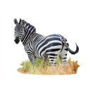 WOW Puzzle 1000 db - Zebra