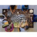 WOW Puzzle 1000 db - Zebra
