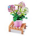 MAX cserepes növény, 1. sorozat - többféle