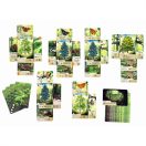 Az erdő társasjáték