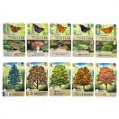 Az erdő társasjáték