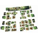 Az erdő társasjáték