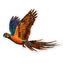 Avenir Karckép matricák - Madarak