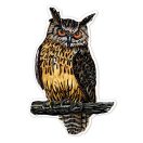 Avenir Karckép matricák - Madarak