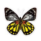 Avenir Karckép matricák - Pillangók