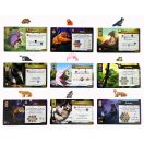 Amazónia társasjáték