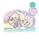 Festés számok szerint, képkerettel - kutyus és cica