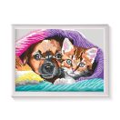 Festés számok szerint, képkerettel - kutyus és cica