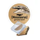 Buki Dínó csontváz felfedező készlet - Triceratops