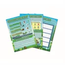 Clementoni Science&Play - My Garden az én kis kertem