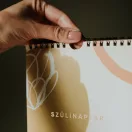 Szülinaptár - nincs több elfelejtett születésnap! (absztrakt)