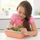 My Fairy Garden Konyhakert