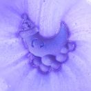 Craze Inkee vegán hab - édes álom, többféle