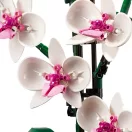 LEGO® Icons 10311 Orchidea