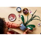 LEGO® Icons 10311 Orchidea