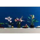 LEGO® Icons 10311 Orchidea