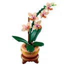 LEGO® Botanicals 10343 Mini orchidea