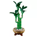 LEGO® Botanicals 10344 Szerencsebambusz