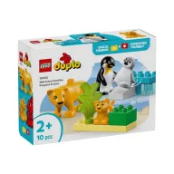   LEGO® DUPLO® 10442 Állatcsaládok a vadvilágban: Pingvinek és oroszlánok
