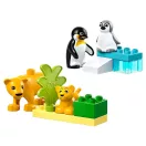 LEGO® DUPLO® 10442 Állatcsaládok a vadvilágban: Pingvinek és oroszlánok