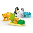 LEGO® DUPLO® 10442 Állatcsaládok a vadvilágban: Pingvinek és oroszlánok