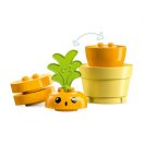 LEGO® DUPLO® 10981 Sárgarépa-ültetés
