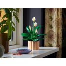 LEGO® Botanicals 11504 Vitorlavirág