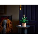 LEGO® Botanicals 11504 Vitorlavirág