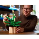 LEGO® Botanicals 11504 Vitorlavirág