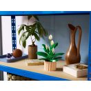 LEGO® Botanicals 11504 Vitorlavirág