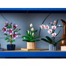 LEGO® Botanicals 11504 Vitorlavirág