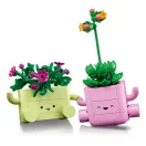 LEGO® Botanicals 11506 Hintázó növények