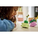 LEGO® Botanicals 11506 Hintázó növények