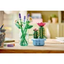 LEGO® Botanicals 11509 Virágzó kaktusz