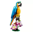 LEGO® Creator 31136 Egzotikus papagáj
