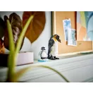 LEGO® Creator 31165 Vadállatok: Pandacsalád