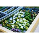 LEGO® Art 31220 Claude Monet – Híd a vízililiomos tó felett