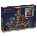 LEGO® Harry Potter 76474 A Roxfort-i gyógynövénytanóra növényei