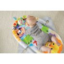 Fisher-Price 2 az 1-ben hordozható játszószőnyeg