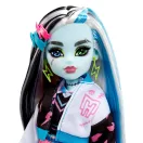 Monster High baba kiskedvenccel - Frankie Stein