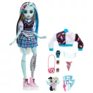Monster High baba kiskedvenccel - Frankie Stein