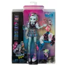 Monster High baba kiskedvenccel - Frankie Stein