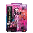 Monster High Szörnyen új baba kiskedvenccel - Draculaura