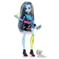   Monster High Szörnyen új baba kiskedvenccel - Frankie Stein
