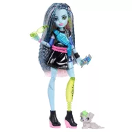   Monster High Szörnyen új baba kiskedvenccel - Frankie Stein