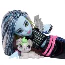 Monster High Szörnyen új baba kiskedvenccel - Frankie Stein