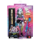 Monster High Szörnyen új baba kiskedvenccel - Frankie Stein