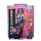 Monster High Szörnyen új baba kiskedvenccel - Robecca Steam